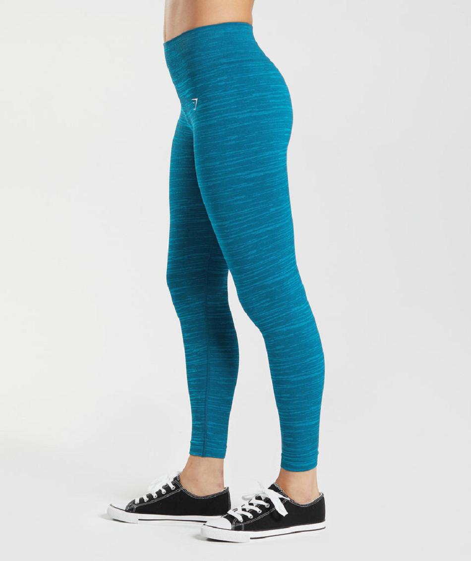 Leggins Gymshark Adapt Marl Seamless Mujer Azules Gris Oscuro Azules | CO 2943EBC